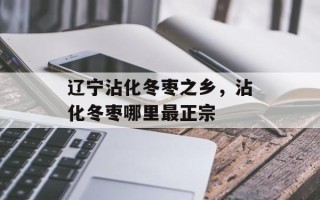辽宁沾化冬枣之乡，沾化冬枣哪里最正宗