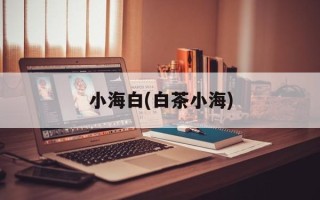小海白(白茶小海)