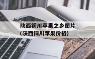 陕西铜川苹果之乡图片(陕西铜川苹果价格)