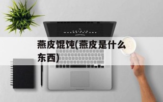 燕皮馄饨(燕皮是什么东西)