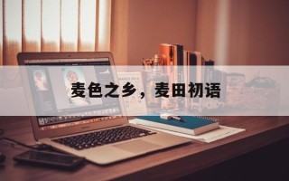 麦色之乡，麦田初语