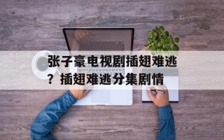 张子豪电视剧插翅难逃？插翅难逃分集剧情