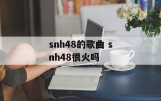 snh48的歌曲 snh48很火吗