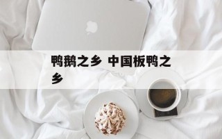 鸭鹅之乡 中国板鸭之乡