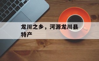 龙川之乡，河源龙川县特产
