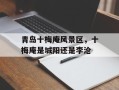 青岛十梅庵风景区，十梅庵是城阳还是李沧