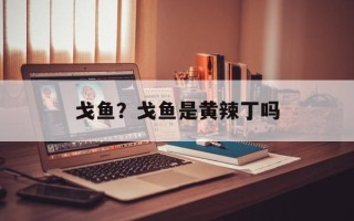 戈鱼？戈鱼是黄辣丁吗