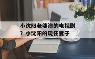小沈阳老婆演的电视剧？小沈阳的现任妻子