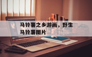 马铃薯之乡游画，野生马铃薯图片