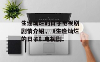 生逢灿烂的日子电视剧剧情介绍，《生逢灿烂的日子》电视剧