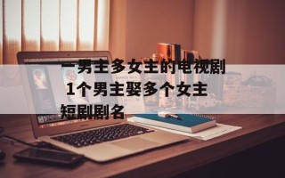 一男主多女主的电视剧 1个男主娶多个女主短剧剧名