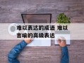 难以表达的成语 难以言喻的高级表达
