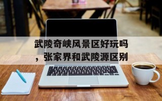 武陵奇峡风景区好玩吗，张家界和武陵源区别
