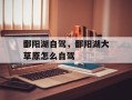 鄱阳湖自驾，鄱阳湖大草原怎么自驾