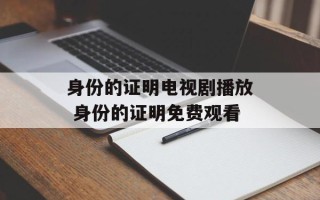 身份的证明电视剧播放 身份的证明免费观看
