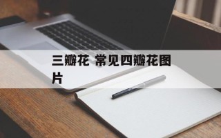 三瓣花 常见四瓣花图片