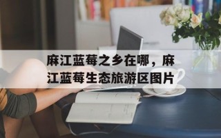 麻江蓝莓之乡在哪，麻江蓝莓生态旅游区图片