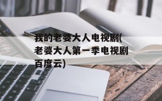 我的老婆大人电视剧(老婆大人第一季电视剧百度云)