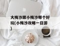 大梅沙跟小梅沙哪个好玩(小梅沙攻略一日游)