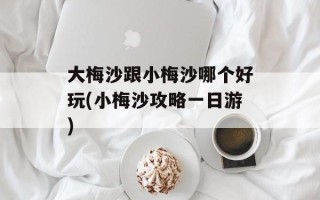 大梅沙跟小梅沙哪个好玩(小梅沙攻略一日游)
