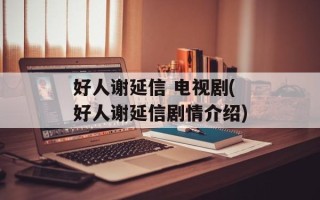 好人谢延信 电视剧(好人谢延信剧情介绍)