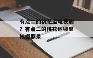有点二的桃花运电视剧？有点二的桃花运哪里拍摄取景