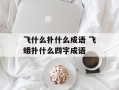 飞什么扑什么成语 飞蛾扑什么四字成语