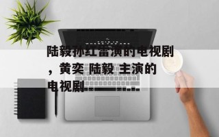 陆毅孙红雷演的电视剧，黄奕 陆毅 主演的电视剧