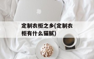定制衣柜之乡(定制衣柜有什么猫腻)