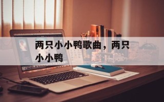 两只小小鸭歌曲，两只小小鸭