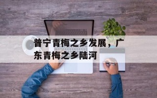 普宁青梅之乡发展，广东青梅之乡陆河