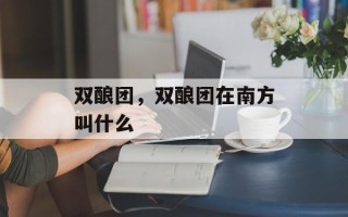 双酿团，双酿团在南方叫什么