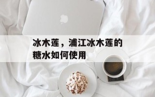 冰木莲，浦江冰木莲的糖水如何使用