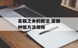 莲藕之乡的做法 莲藕种植方法视频