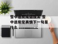 雪中送炭成语接龙 雪中送炭见真情下一句是什么
