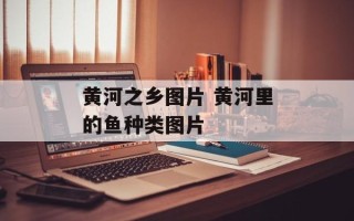 黄河之乡图片 黄河里的鱼种类图片
