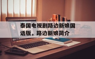 泰国电视剧路边新娘国语版，路边新娘简介