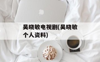 吴晓敏电视剧(吴晓敏个人资料)