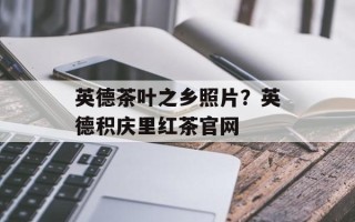 英德茶叶之乡照片？英德积庆里红茶官网
