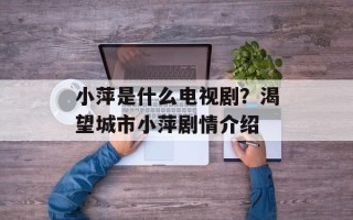 小萍是什么电视剧？渴望城市小萍剧情介绍