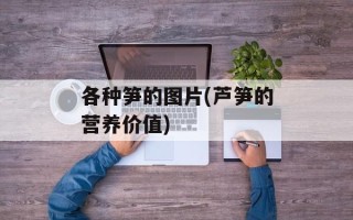 各种笋的图片(芦笋的营养价值)
