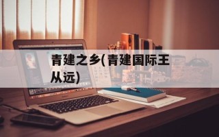 青建之乡(青建国际王从远)