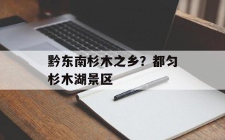 黔东南杉木之乡？都匀杉木湖景区