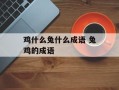 鸡什么兔什么成语 兔鸡的成语