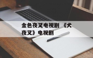 金色夜叉电视剧 《犬夜叉》电视剧