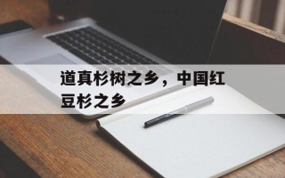 道真杉树之乡，中国红豆杉之乡