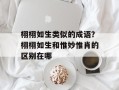 栩栩如生类似的成语？栩栩如生和惟妙惟肖的区别在哪