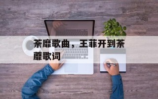 荼靡歌曲，王菲开到荼蘼歌词