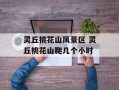 灵丘桃花山风景区 灵丘桃花山爬几个小时