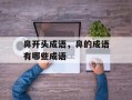 鼻开头成语，鼻的成语有哪些成语